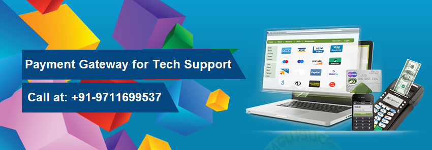 payment gateway for tech support